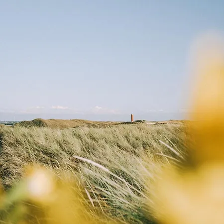 Luttikduin Nr 15 - Aan Zee Chalet