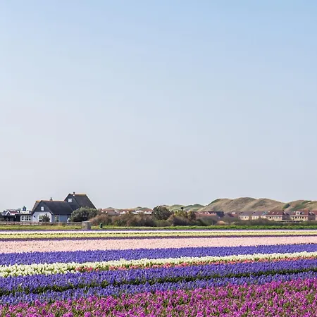 木屋 Luttikduin Nr 15 - Aan Zee *