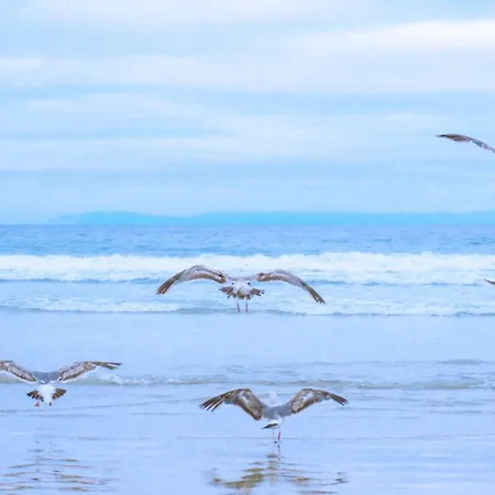 Chalet Luttikduin Nr 15 - Aan Zee